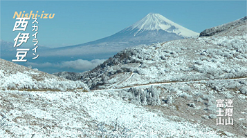 西伊豆　スカイライン　達磨山