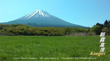 富士山麓　朝霧高原