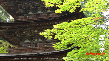 滋賀　甲良町　西明寺