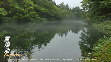 軽井沢　雲場池