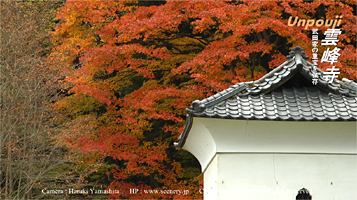 山梨　雲峰寺